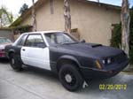1982 Patrol Mustang
